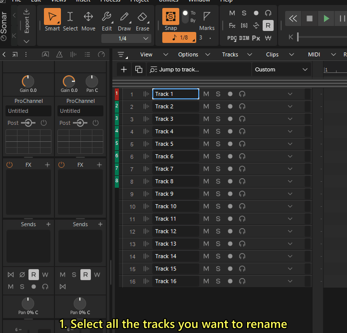 RenameMultipleTracks.gif